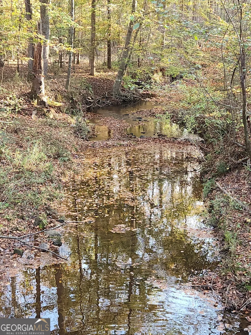 678 Seabolt RD Locust Grove, GA 30248