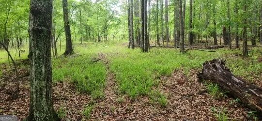 678 Seabolt RD Locust Grove, GA 30248