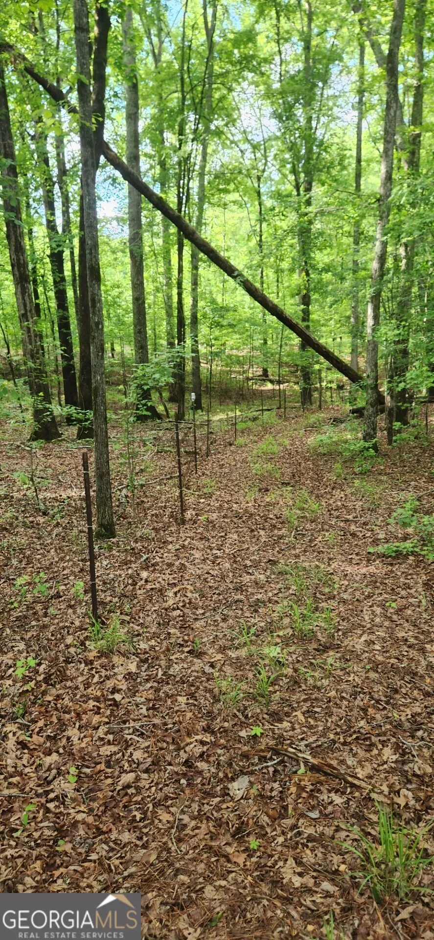 678 Seabolt RD Locust Grove, GA 30248
