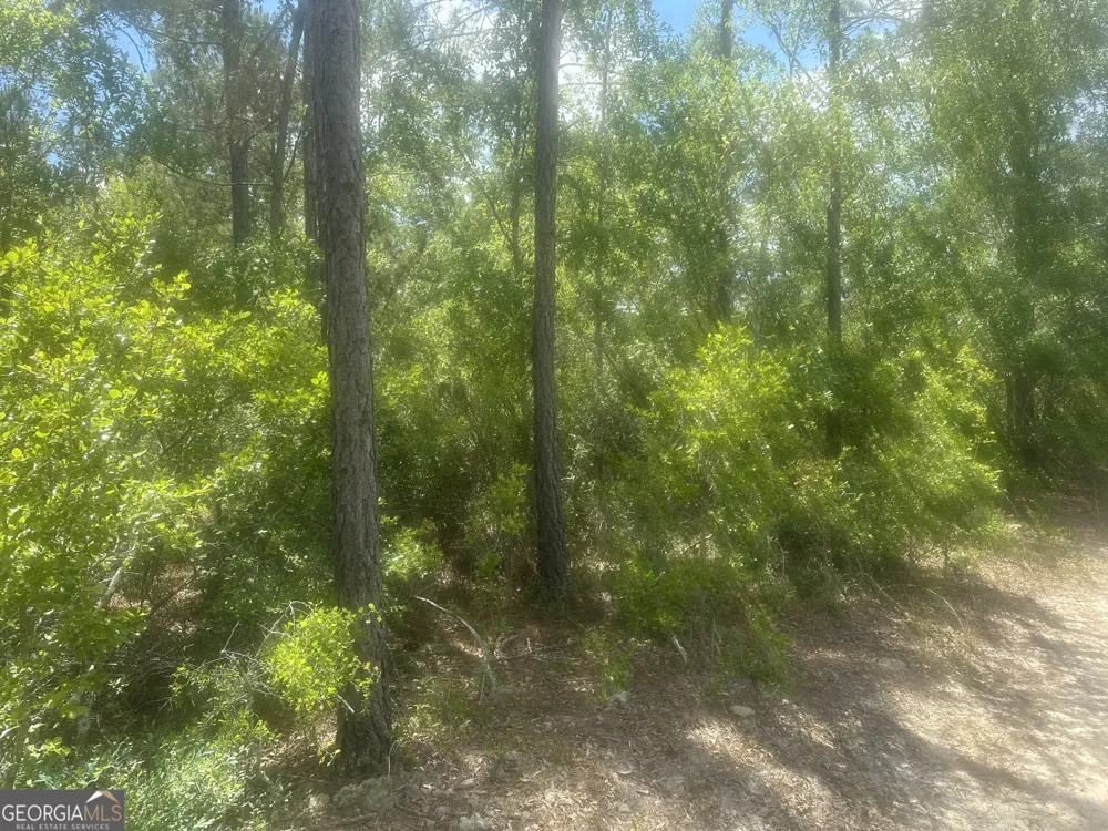 0 Robert Chapel Cemetery RD Glennville, GA 30427