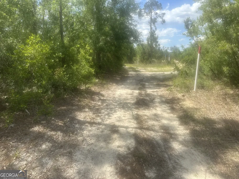 0 Robert Chapel Cemetery RD Glennville, GA 30427