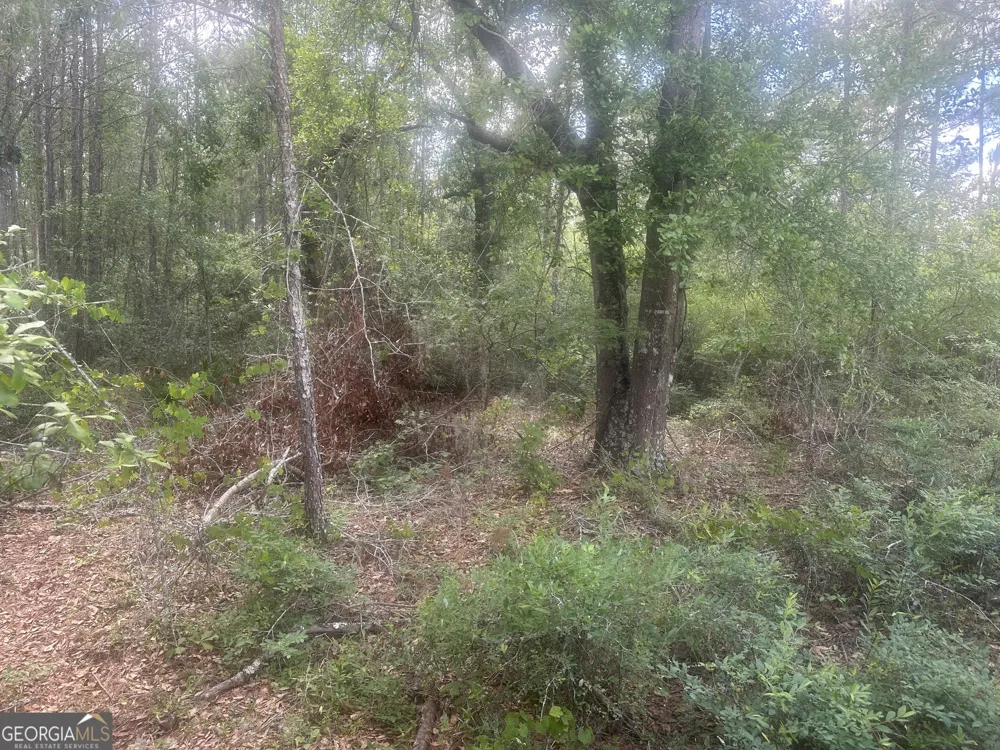 0 Robert Chapel Cemetery RD Glennville, GA 30427
