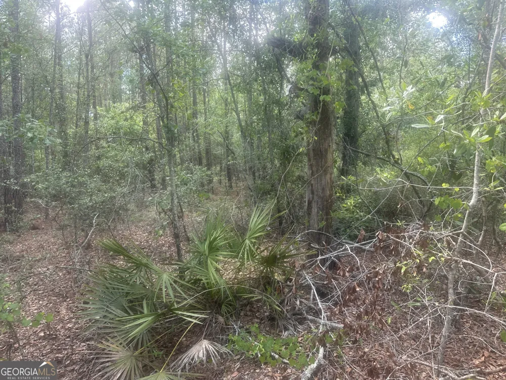 0 Robert Chapel Cemetery RD Glennville, GA 30427