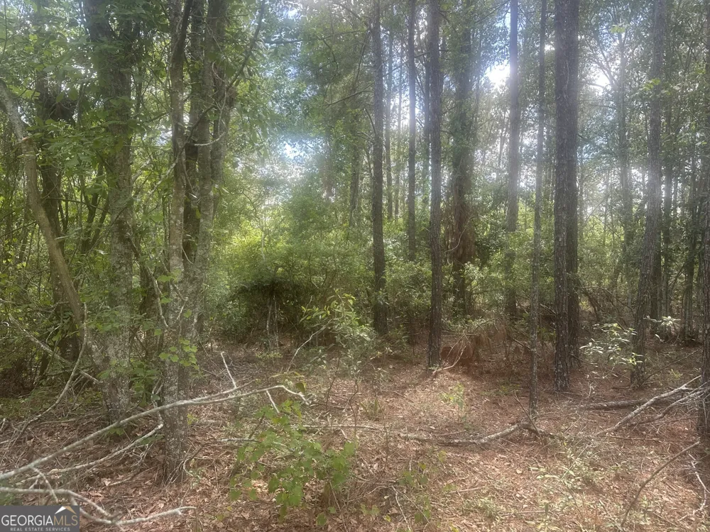 0 Robert Chapel Cemetery RD Glennville, GA 30427