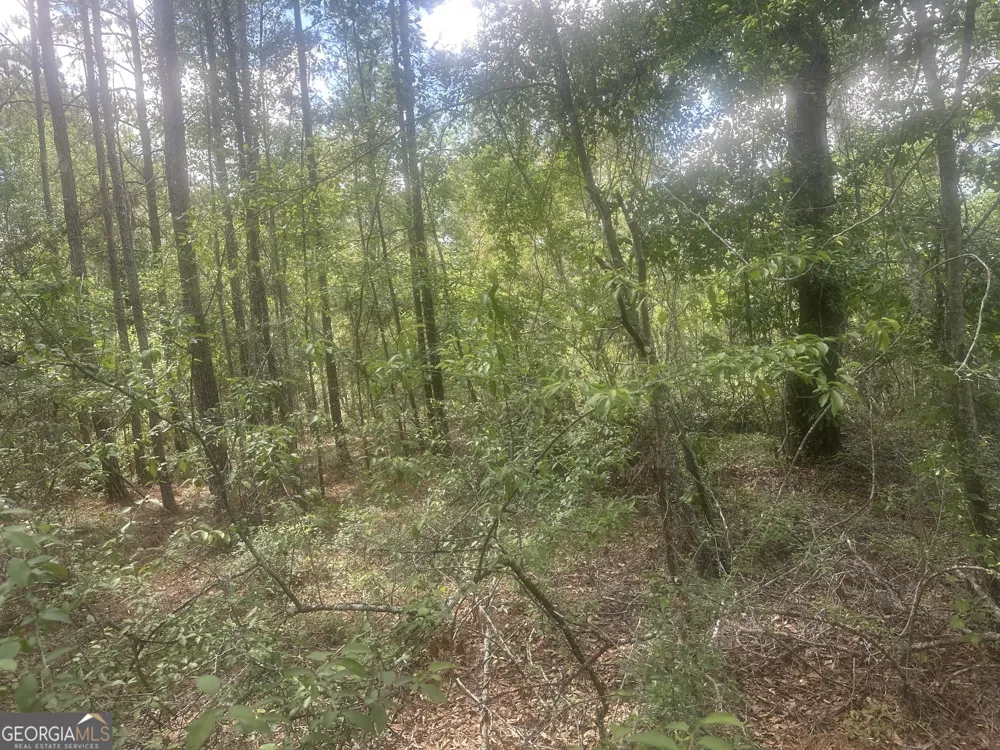 0 Robert Chapel Cemetery RD Glennville, GA 30427