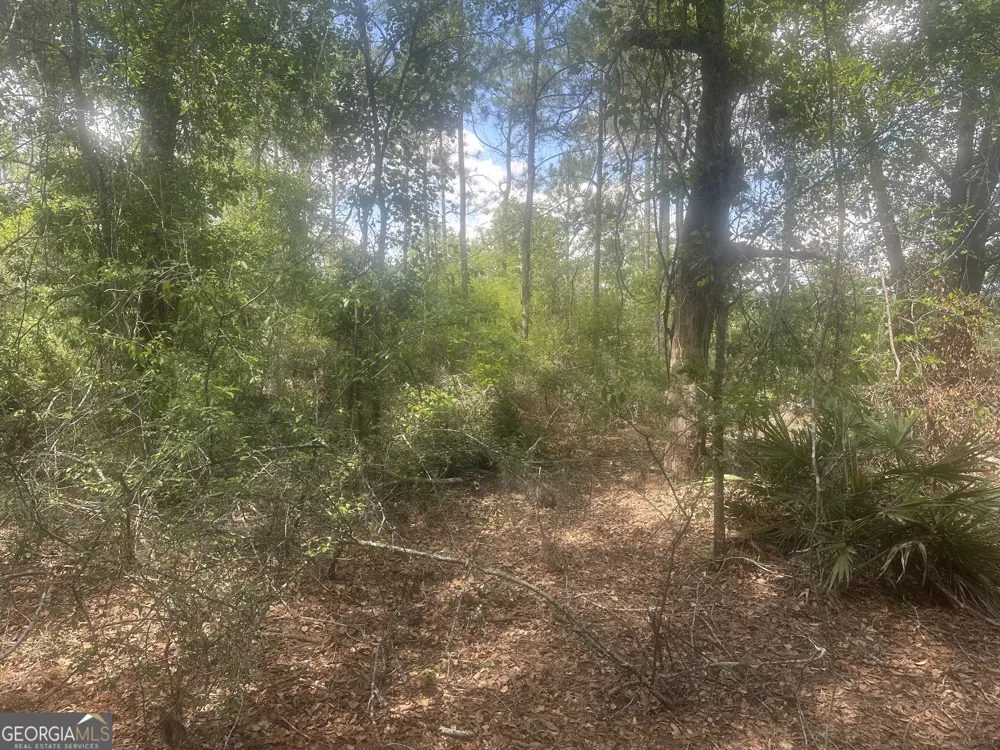 0 Robert Chapel Cemetery RD Glennville, GA 30427