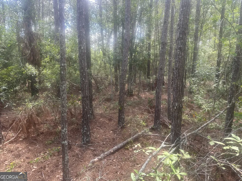 0 Robert Chapel Cemetery RD Glennville, GA 30427