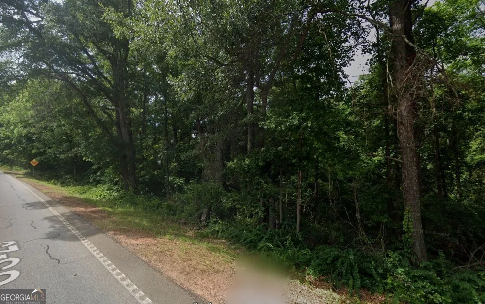 0 Highway 42 S Locust Grove, GA 30248