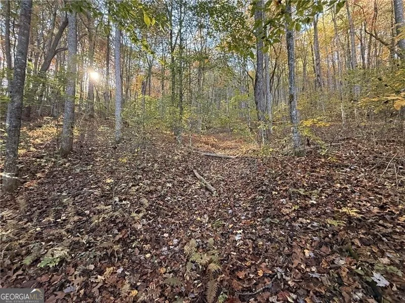 0 O'V Justus RD Rabun Gap, GA 30568