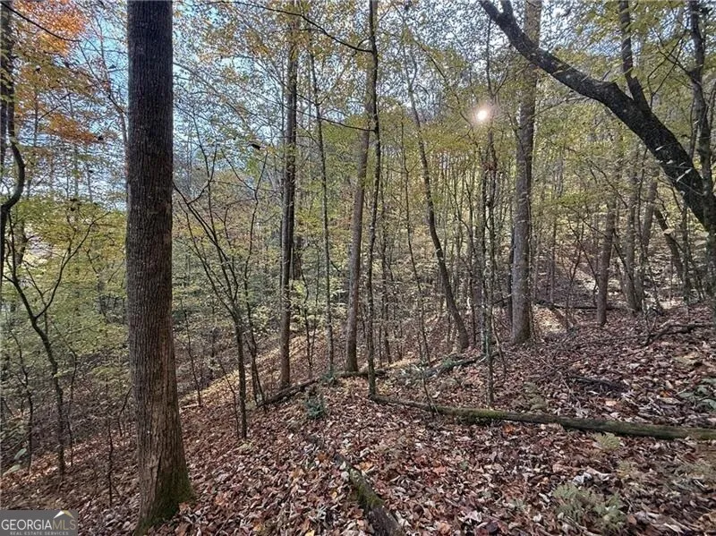 0 O'V Justus RD Rabun Gap, GA 30568