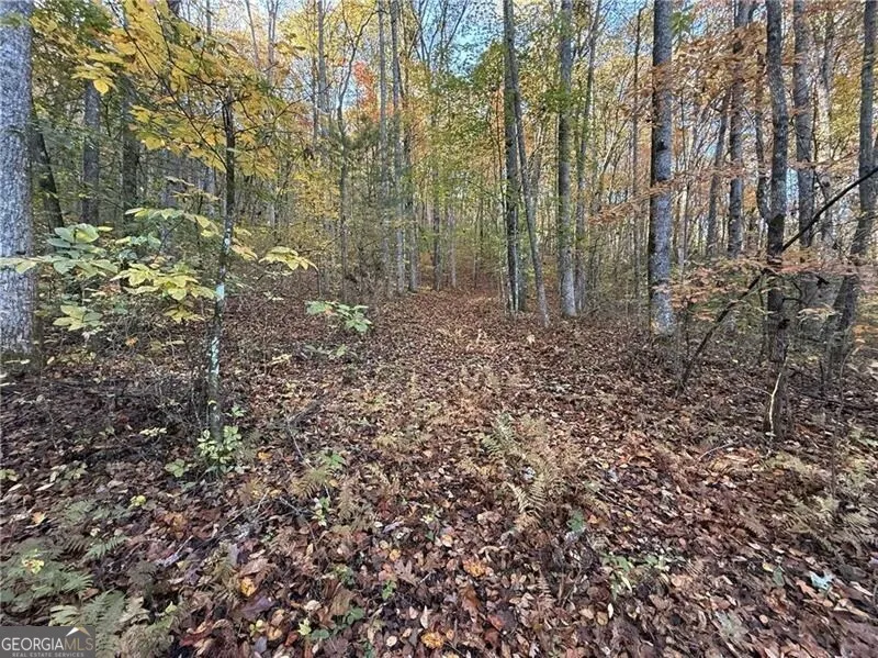 0 O'V Justus RD Rabun Gap, GA 30568