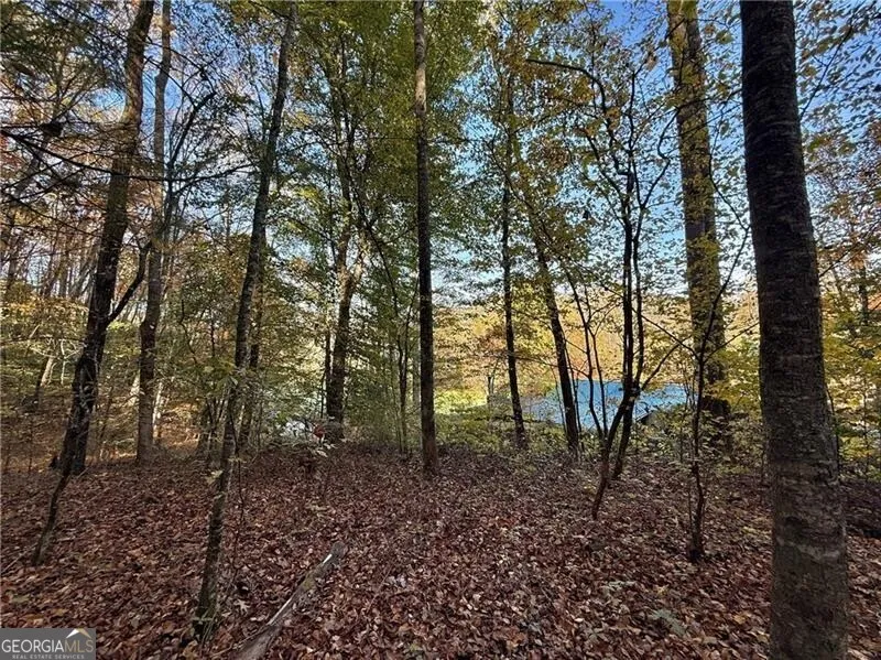 0 O'V Justus RD Rabun Gap, GA 30568