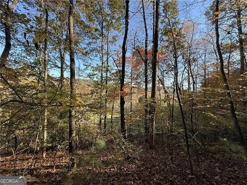 0 O'V Justus RD Rabun Gap, GA 30568