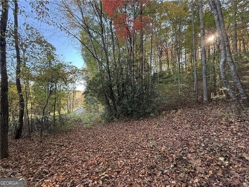 0 O'V Justus RD Rabun Gap, GA 30568