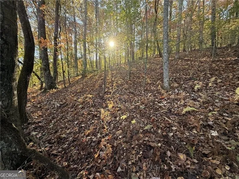 0 O'V Justus RD Rabun Gap, GA 30568