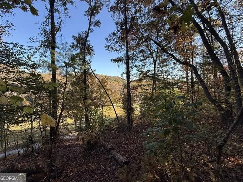 0 O'V Justus RD Rabun Gap, GA 30568