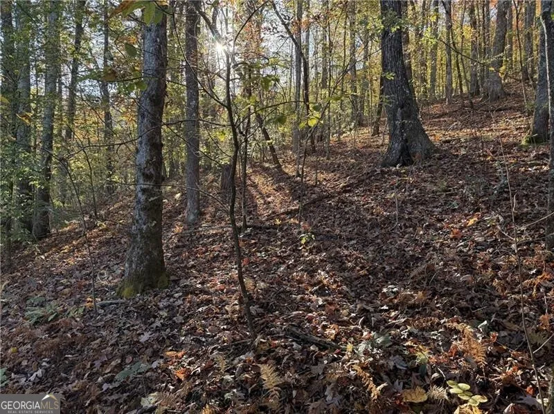 0 O'V Justus RD Rabun Gap, GA 30568
