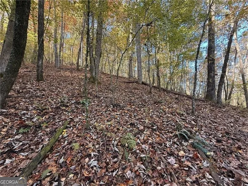 0 O'V Justus RD Rabun Gap, GA 30568