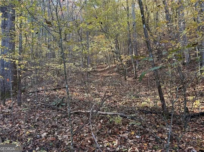0 O'V Justus RD Rabun Gap, GA 30568