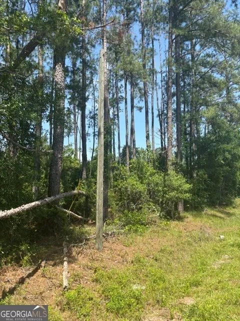 0 STONEY BROOK WAY Reidsville, GA 30453