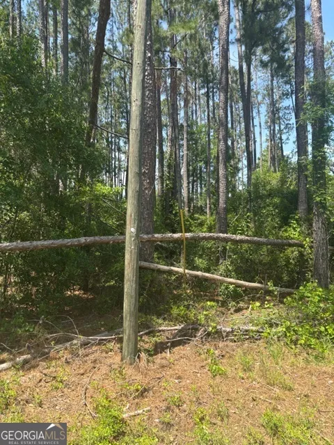 0 STONEY BROOK WAY Reidsville, GA 30453