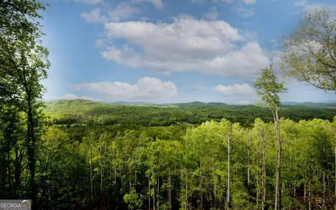 LOT 25 Scouts Overlook