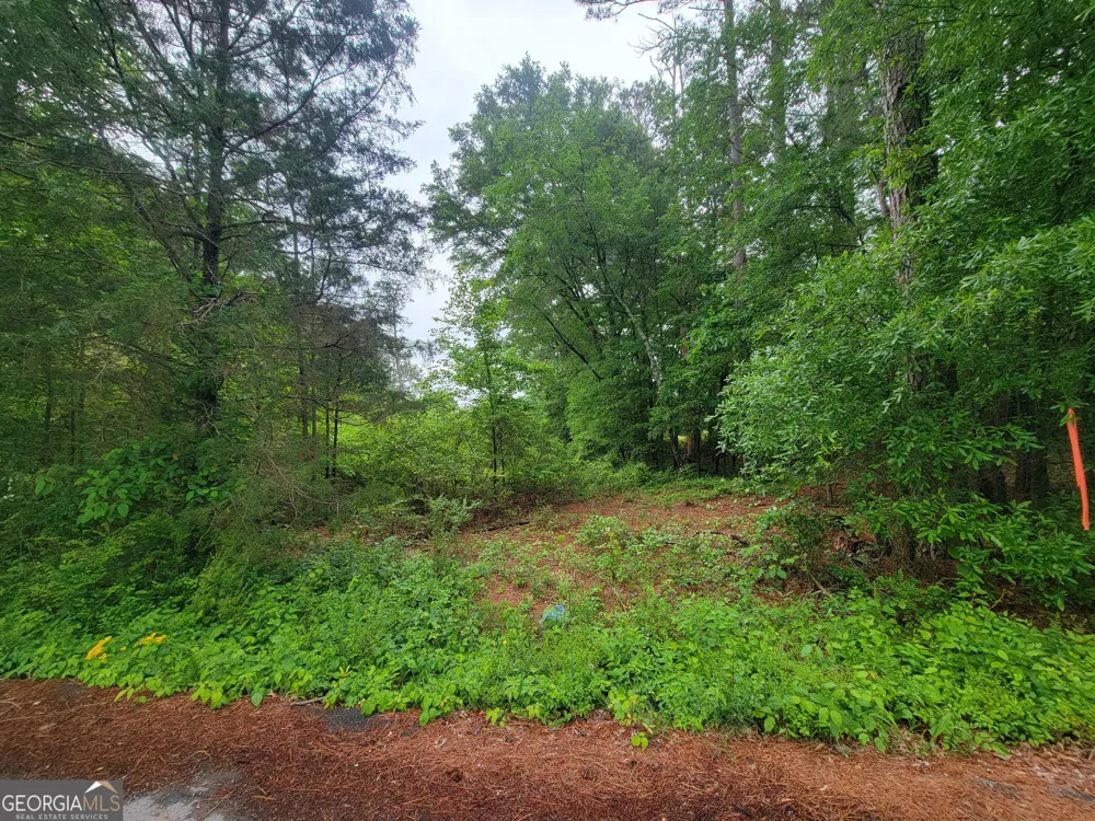 0 Lake Wanda Rita Summerville, GA 30747