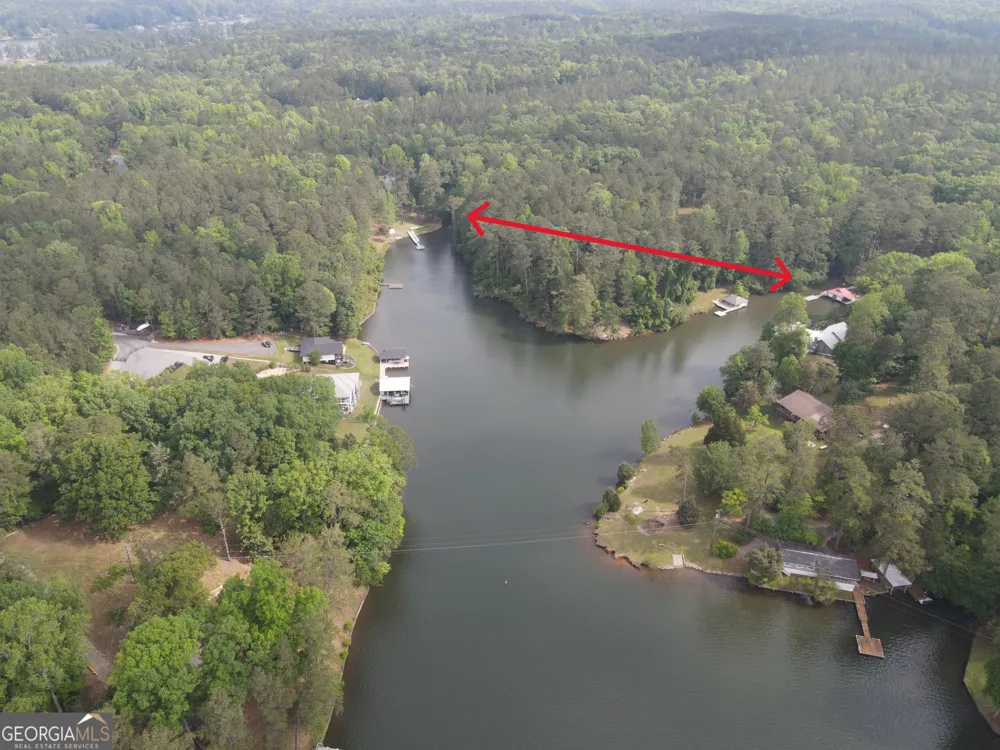 0 Davis RD Hamilton, GA 31811