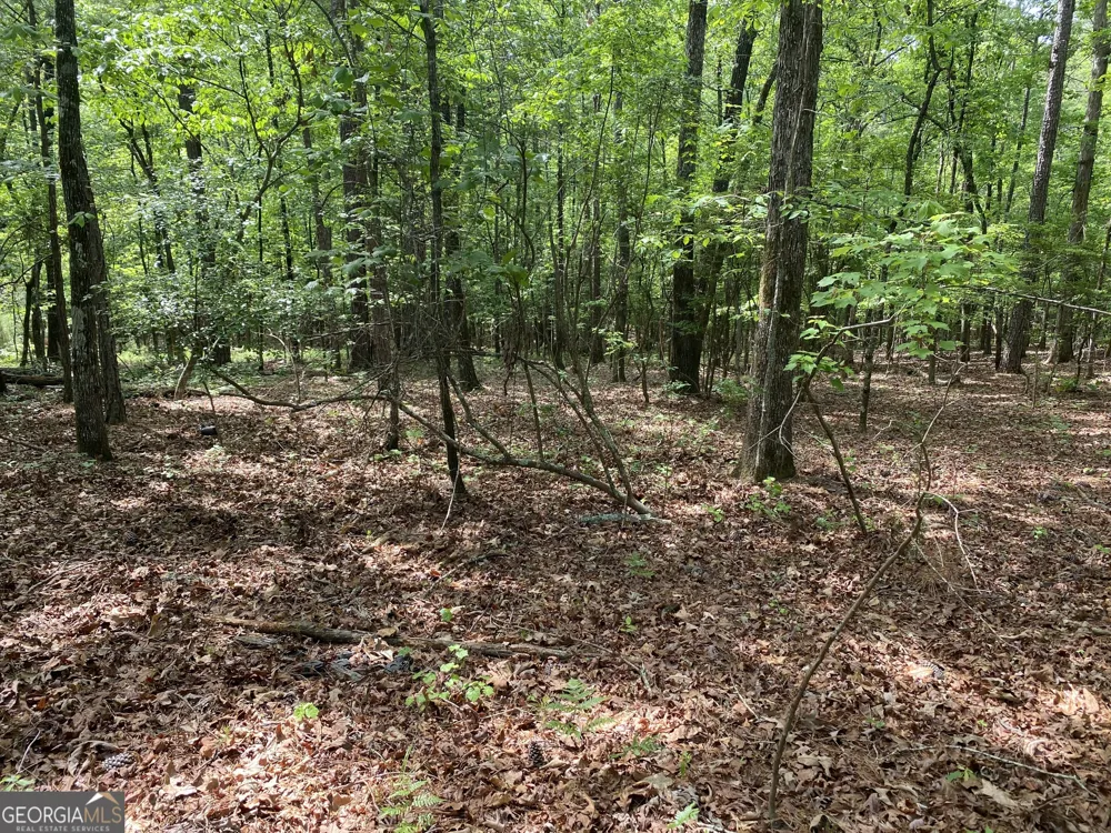 0 Davis RD Hamilton, GA 31811