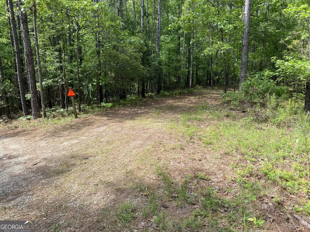 0 Davis RD Hamilton, GA 31811