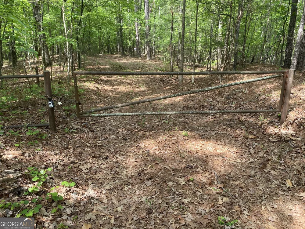 0 Davis RD Hamilton, GA 31811