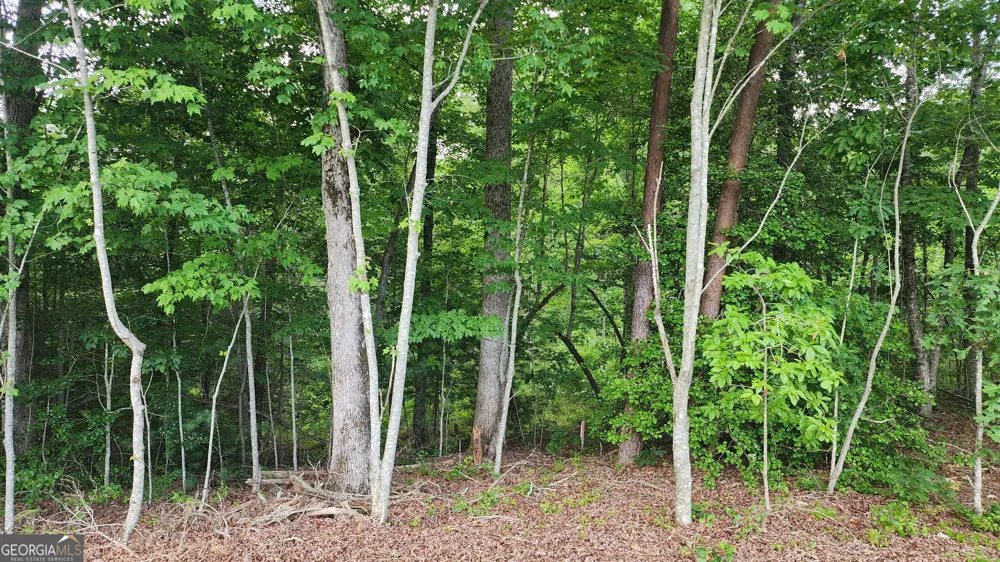 0 MOUNTAIN GLEN CT Clarkesville, GA 30523