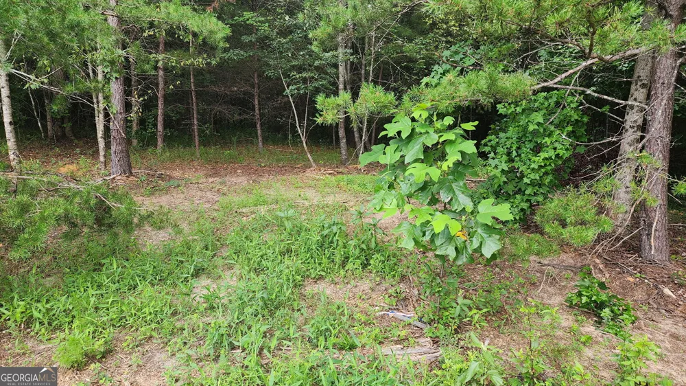 0 MOUNTAIN GLEN CT Clarkesville, GA 30523