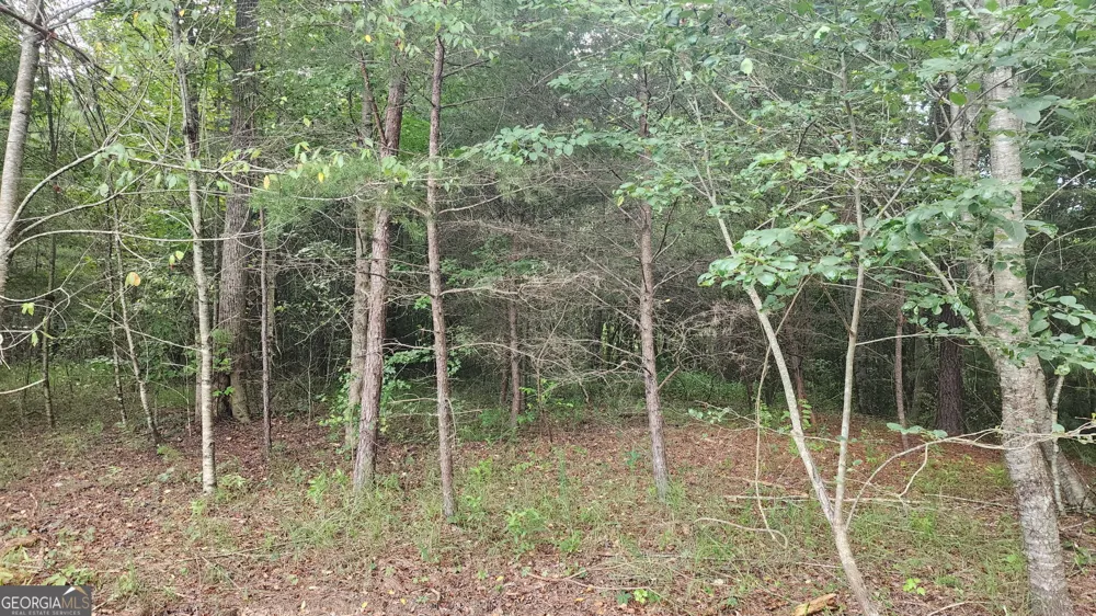 0 MOUNTAIN GLEN CT Clarkesville, GA 30523