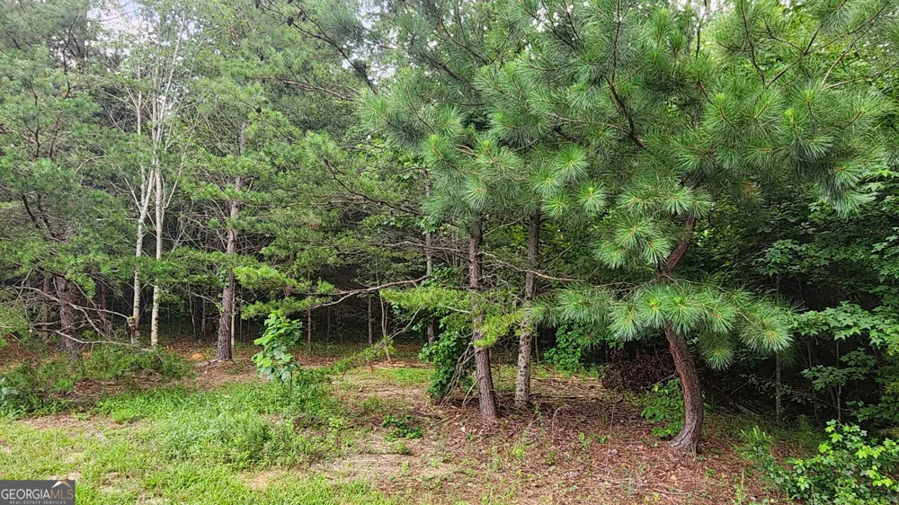 0 MOUNTAIN GLEN CT Clarkesville, GA 30523