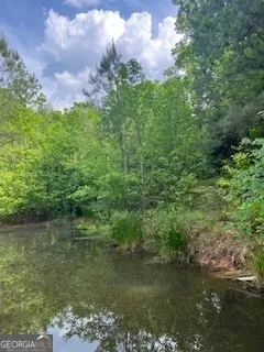 376 Paoli RD Carlton, GA 30627