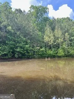 376 Paoli RD Carlton, GA 30627