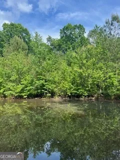 376 Paoli RD Carlton, GA 30627