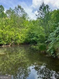 376 Paoli RD Carlton, GA 30627