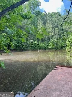 376 Paoli RD Carlton, GA 30627