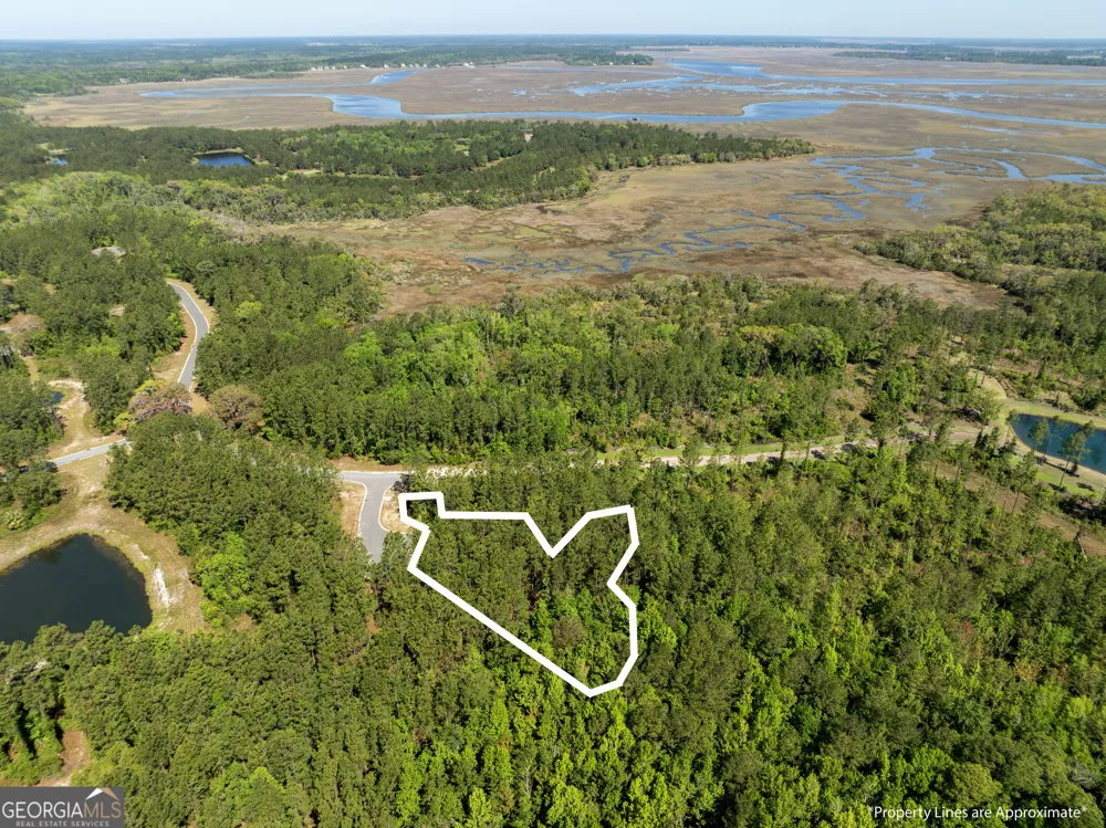 LOT 221 Clam CRK Waverly, GA 31565