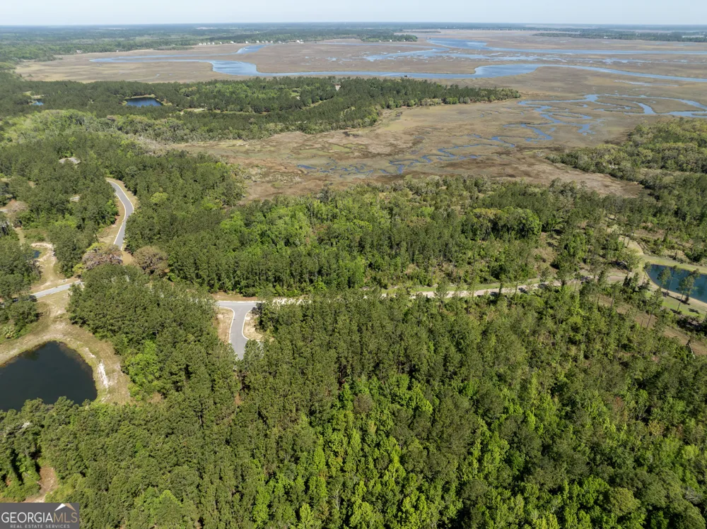 LOT 221 Clam CRK Waverly, GA 31565