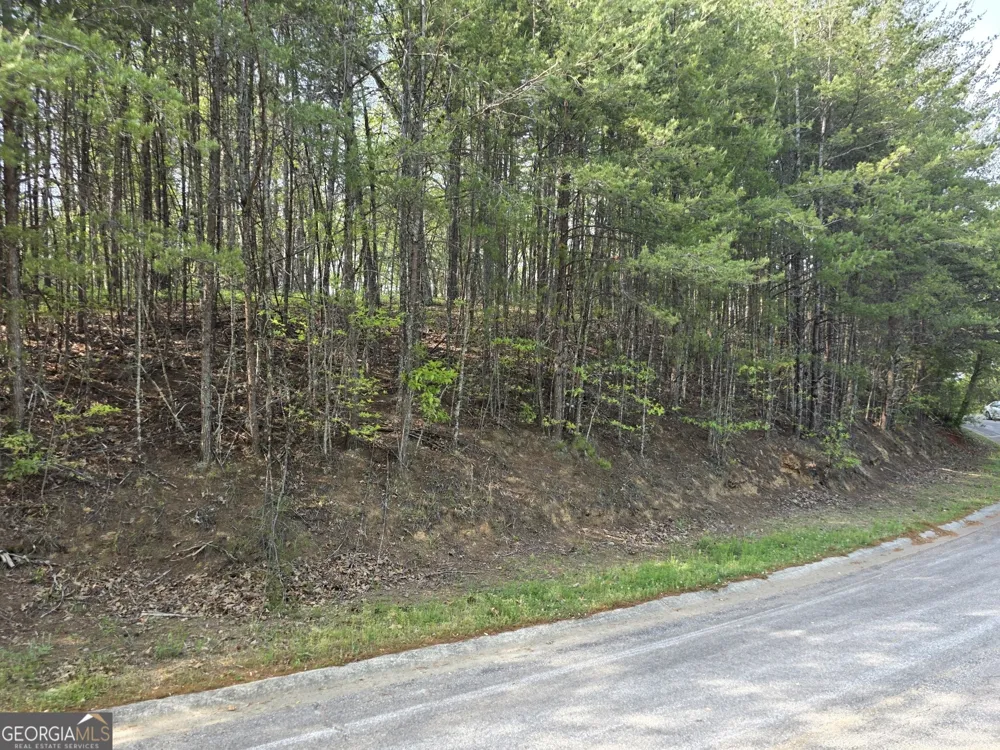 0 Rosen Strasse Helen, GA 30545