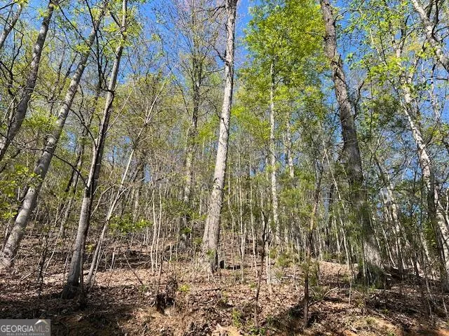 LOT 2B Grandview DR Hayesville, NC 28904