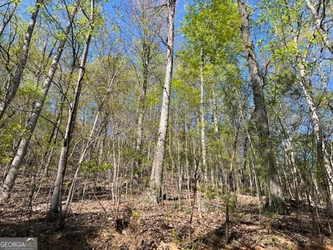LOT 2B Grandview DR