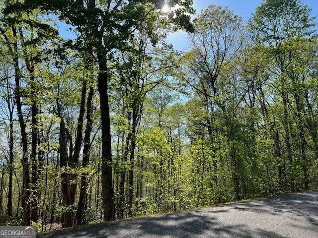 LOT 2B Grandview DR Hayesville, NC 28904