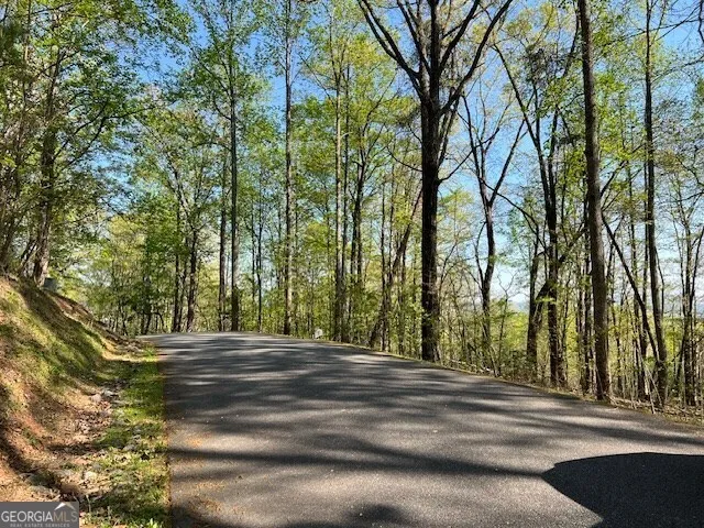LOT 2B Grandview DR Hayesville, NC 28904