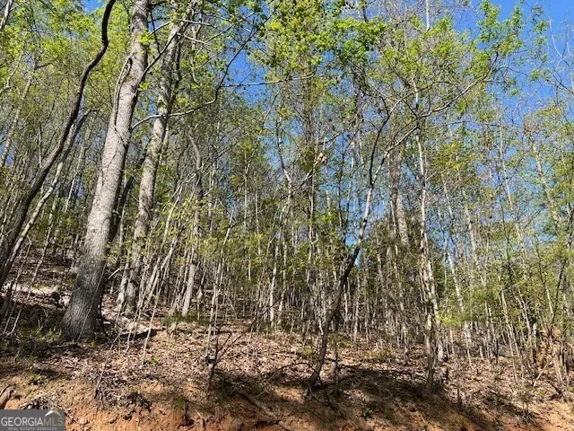 LOT 2B Grandview DR Hayesville, NC 28904