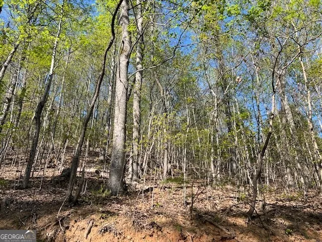 LOT 2B Grandview DR Hayesville, NC 28904