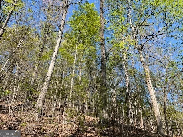 LOT 2B Grandview DR Hayesville, NC 28904
